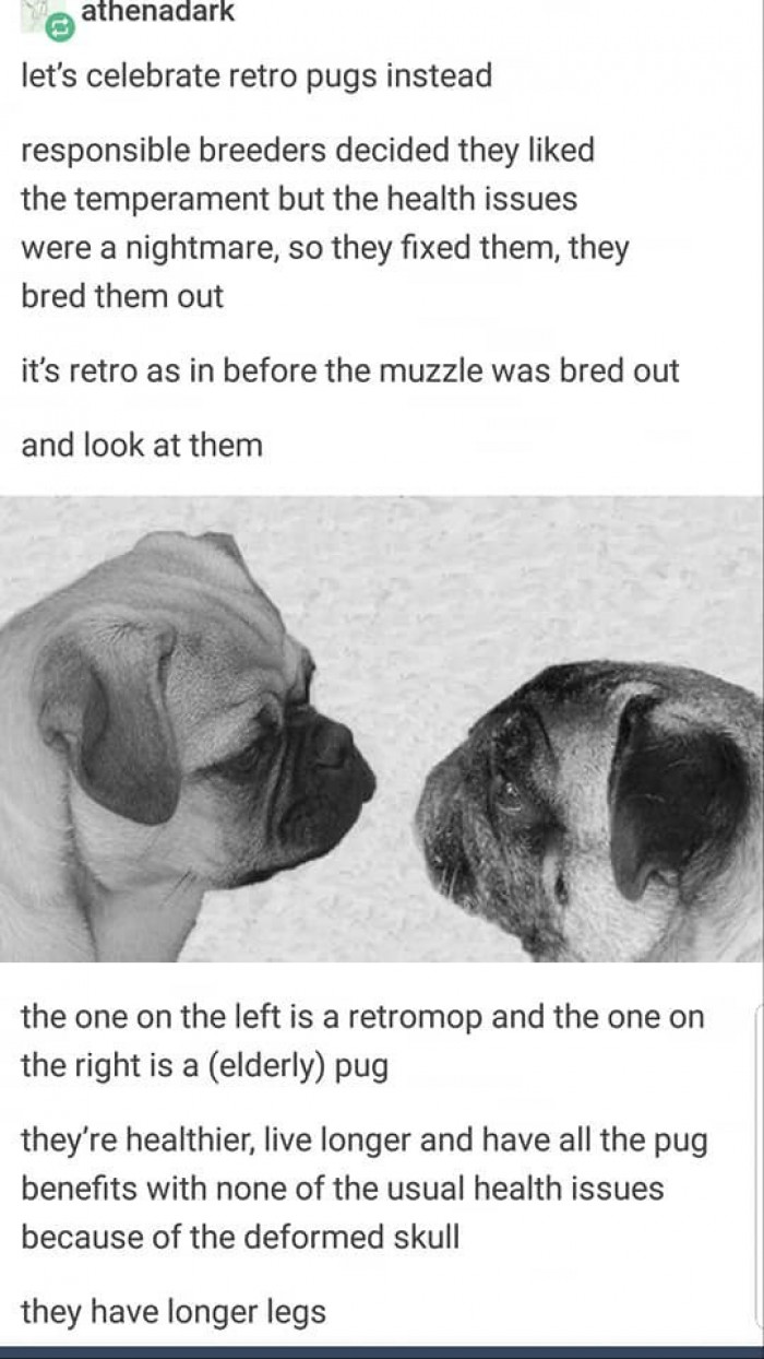 He explains their benefits here -