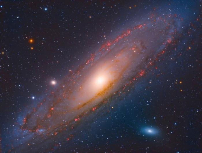 7. Universe During Pandemic. 2nd Place, Science, Professional