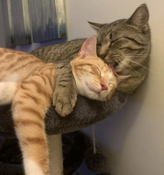 11. “It's just four days since they've known each other.”