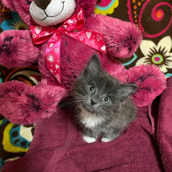 Basner stated, “When we got her into our regular vet, she spoke with a specialist, and it was confirmed that her condition was congenital.