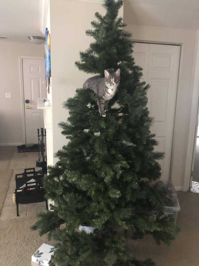 3. "It's that time of the year."