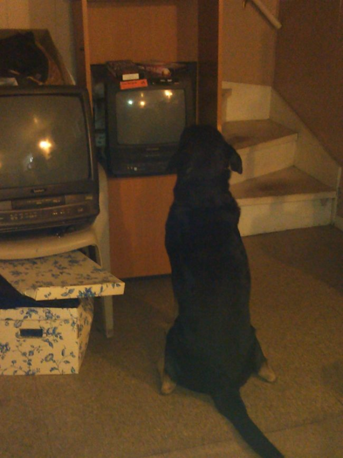 3. Just watching some quality TV....