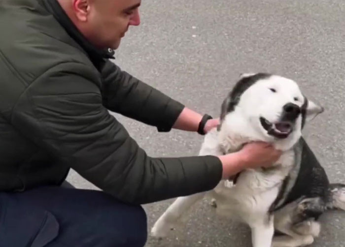 We hope the best for Nessie and her family, and all those who have fled or remained in Ukraine