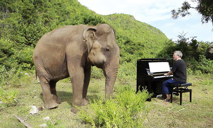 It's unbelievable how a blind elephant can show appreciation for classical music