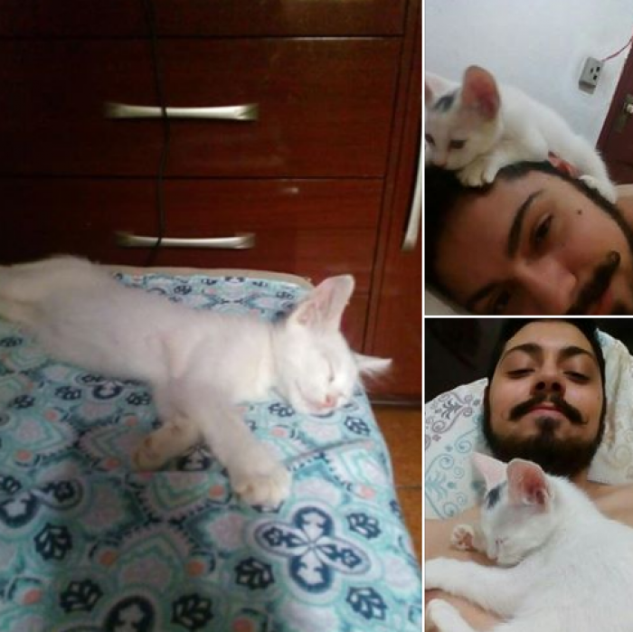 2. “First photo: this was not my cat. He just entered my house and slept in my bed.