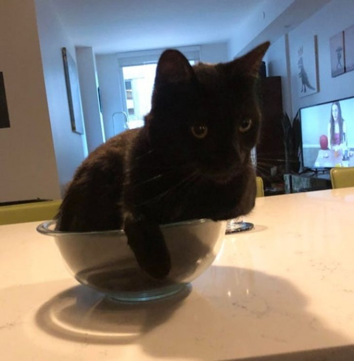 15. "My boyfriend put popcorn in the microwave, readied a bowl on the counter, and came back to this."