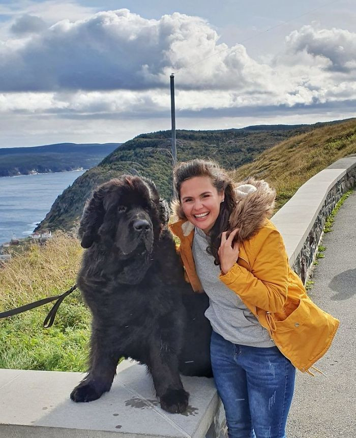 13. "I found a Newfoundland in Newfoundland!"
