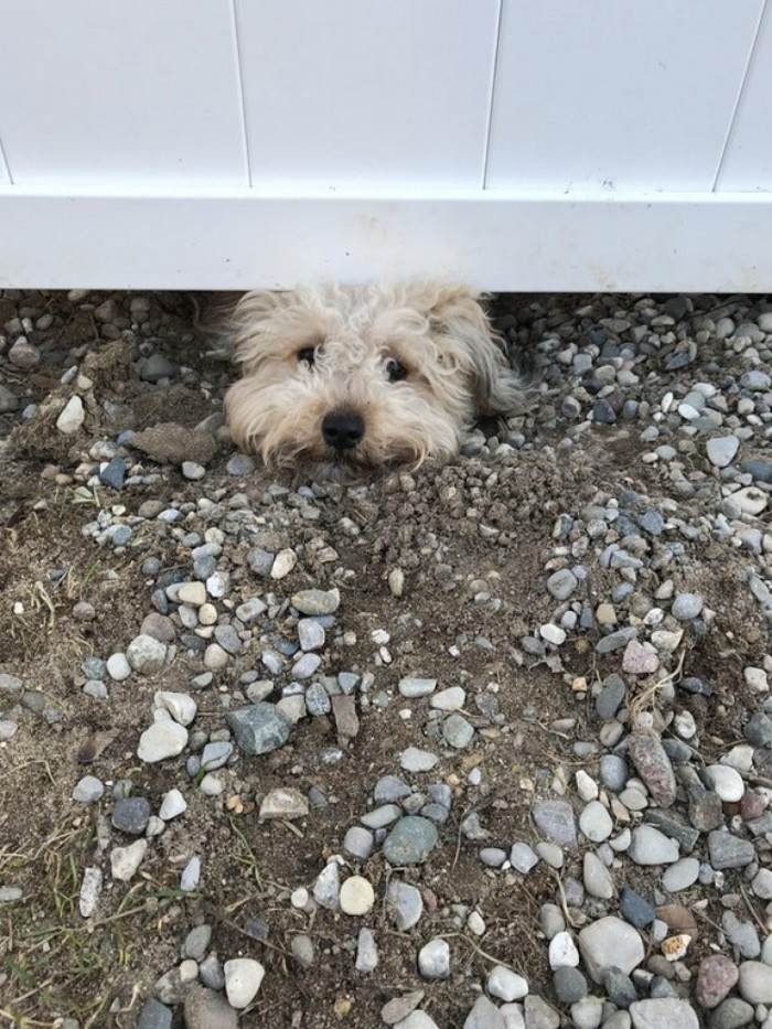 Fuzz was all for making new friends!