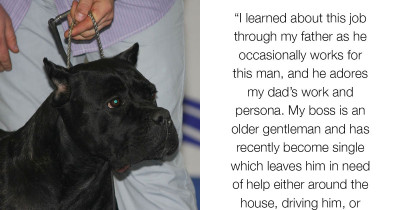 Woman Is Harassed By Creepy Boss, Boss's Dog Saves The Day