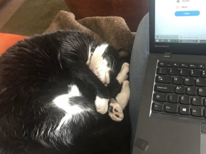 33. She is sleeping on the job.