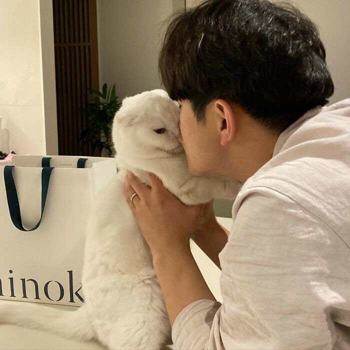 He's even allowing his owner to kiss him.