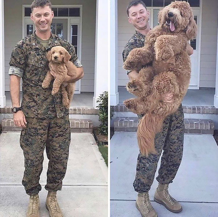 Before and After Deployment