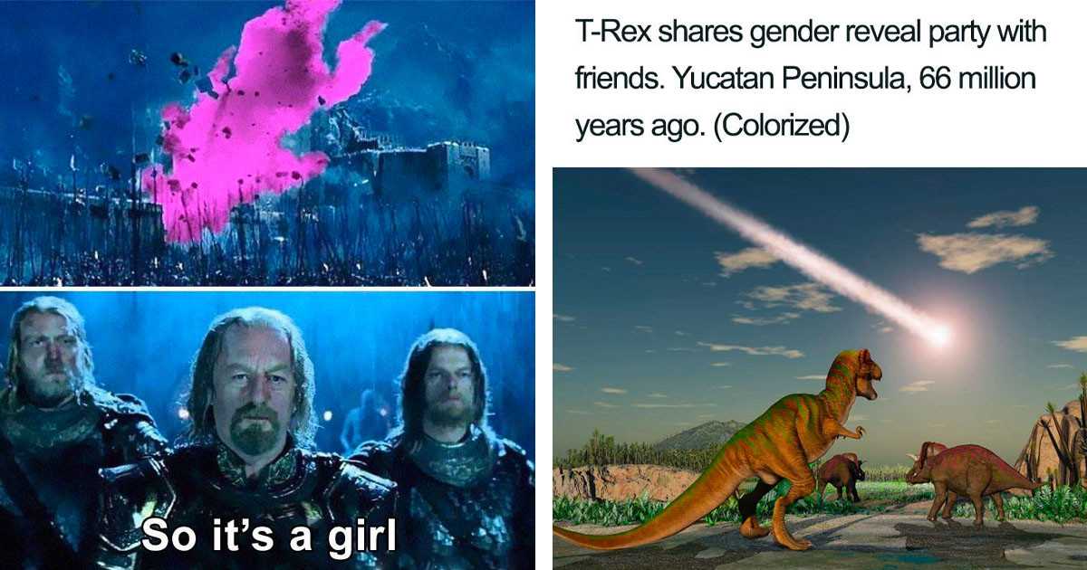 The 45 Most Hilarious Gender Reveal Party Memes In Wake Of