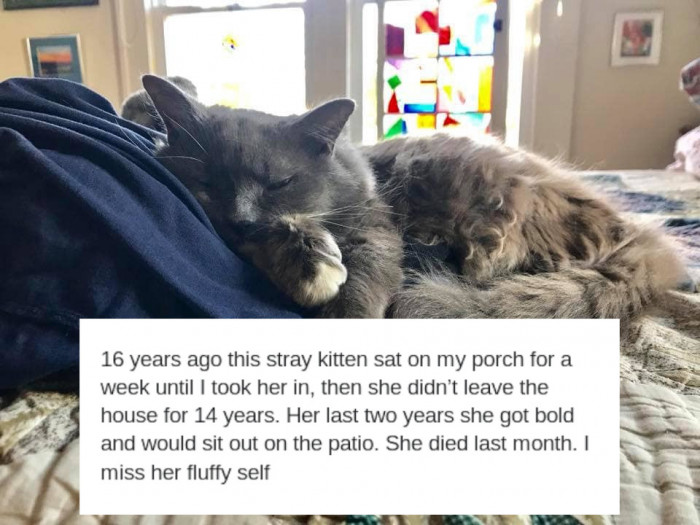 16. "I miss her fluffy self."