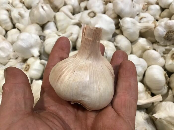 10. Garlic for everyone. 