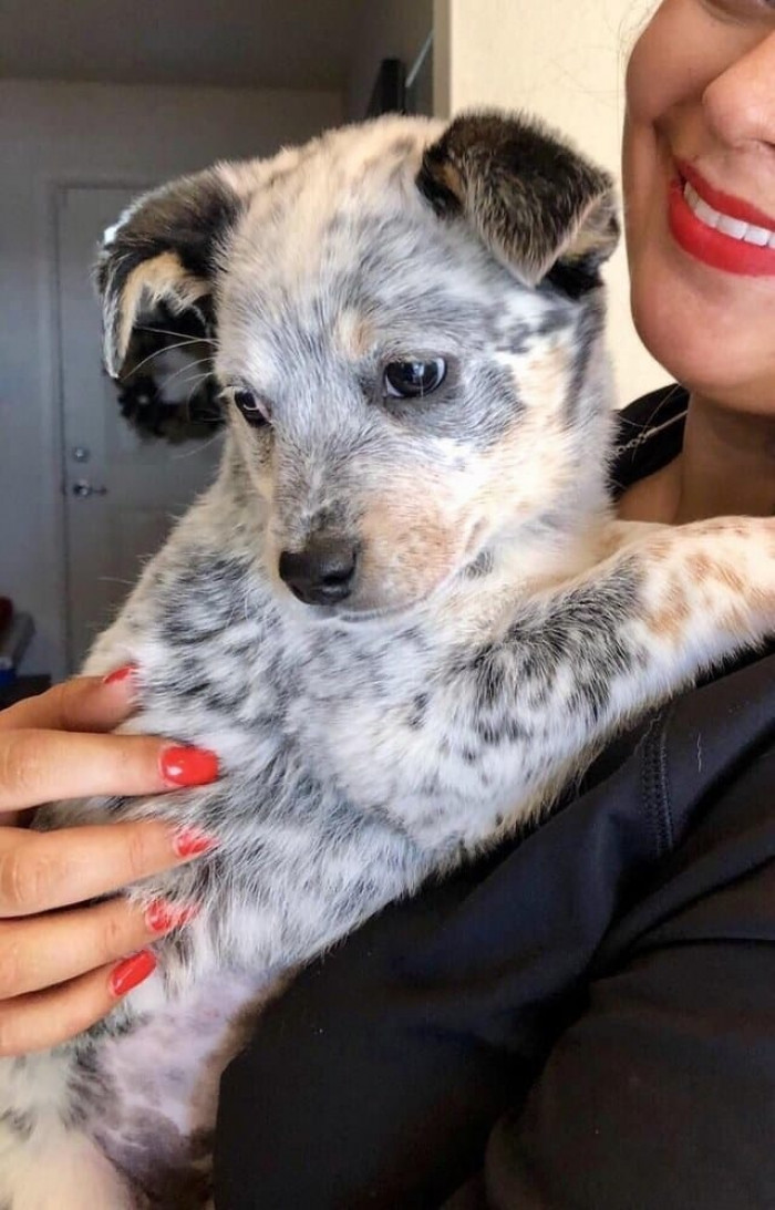 Just look at that sweet little face!