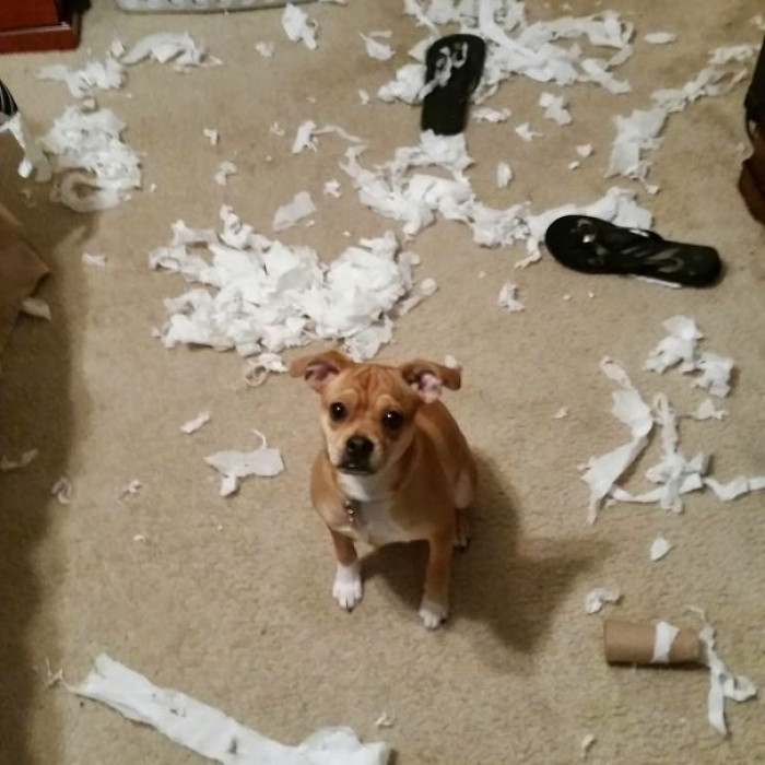 14. Well, hello there! I've prepared a surprise for you.