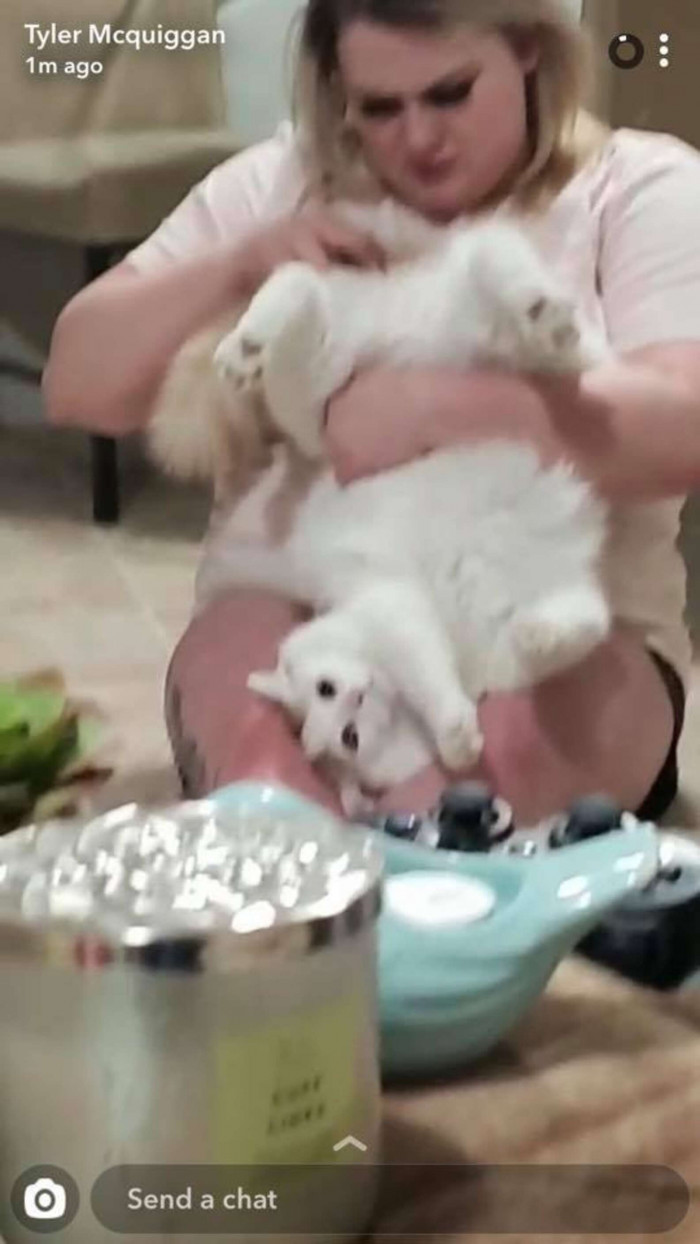 Close-up of a woman interacting with her cat in a weird way.