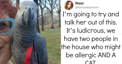 Hilarious Twitter Thread Exposes A Mother Obsessed With Sneaking Birds Into Her Home