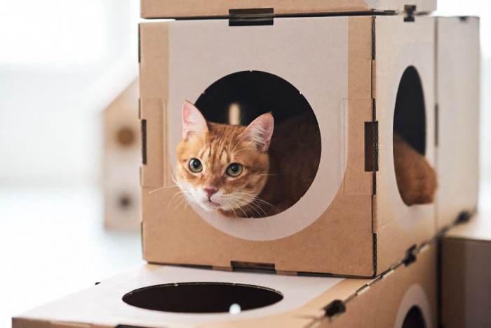 2. Not even that impressed