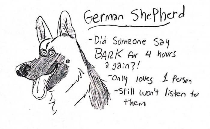 3. German Shepherd