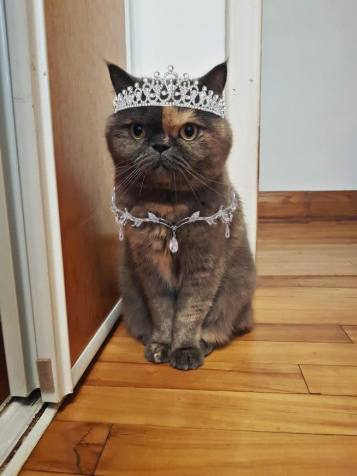 Her Majesty, Empress Clawdia