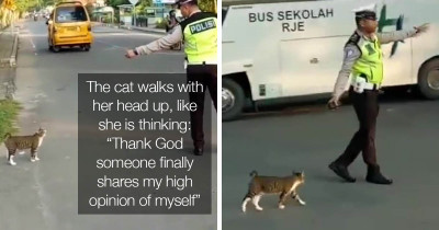 Video of An Indonesian Police Officer Helping A Cat Cross The Road Quickly Goes Viral And It Is Adorable