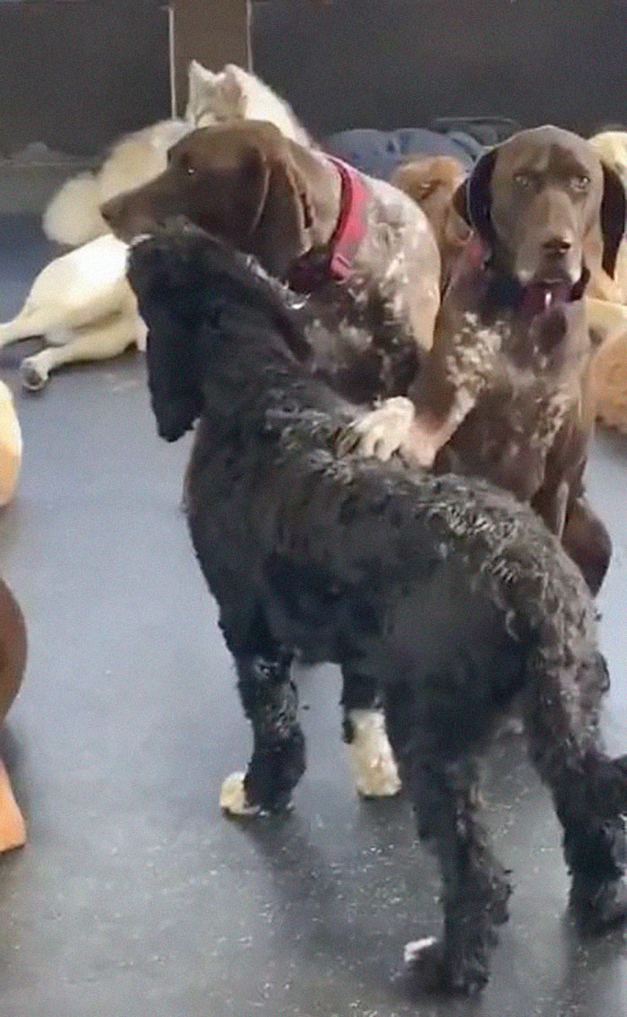 Everyone instantly fell in love with Ruby. They just couldn't get enough of her adorable petting!