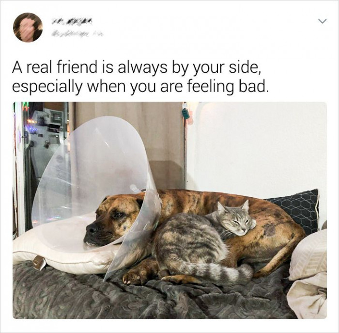 5. The definition of true friendship