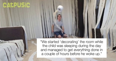 Owners Surprise Cat With Room Full of Toilet Paper And He Is In Absolute Kitty Heaven