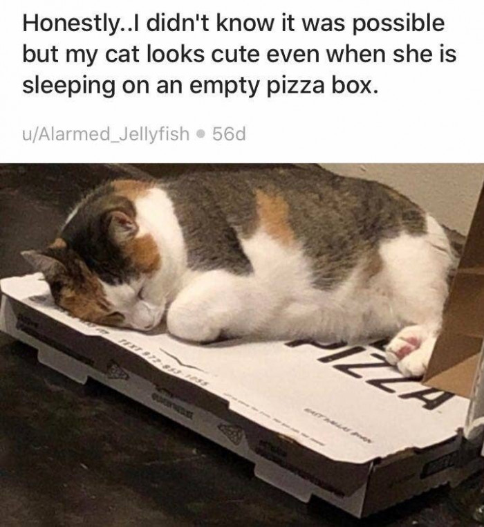3. Precious as heck.