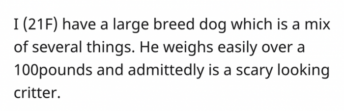She has a large dog. Really large.