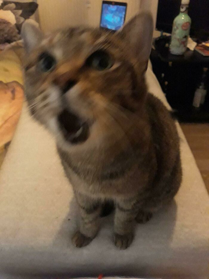 6. The Camera Couldn't Handle The Power Of His Yell