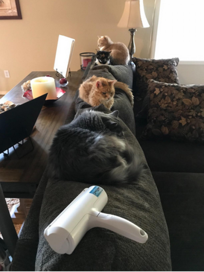 ChomChom Roller Pet Hair Remover