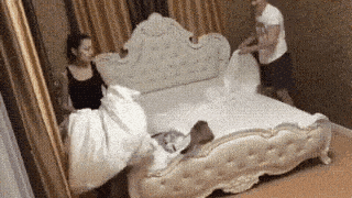 3. You may as well just give up!