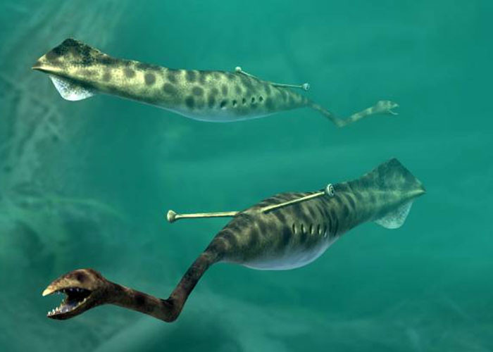 14. Tully Monsters are nearly impossible to classify.