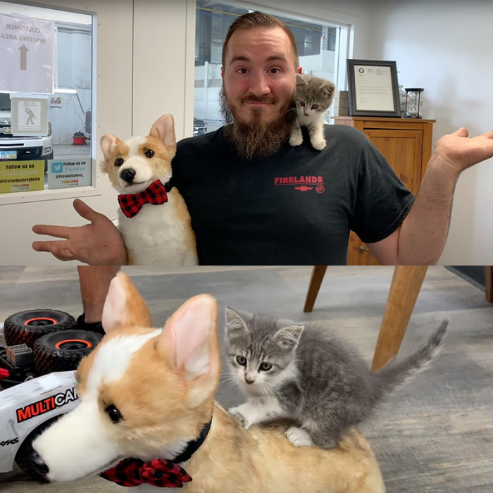 Avis got his routine shots.