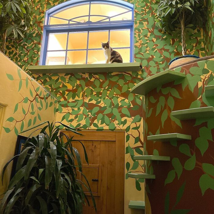 There are also plant-themed rooms to imitate the feel of the great outdoors.