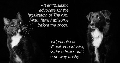 Photographer Takes Beautiful Pictures of Black Dogs and Cats to Prove They Shouldn't Be Last on the List for Adoption