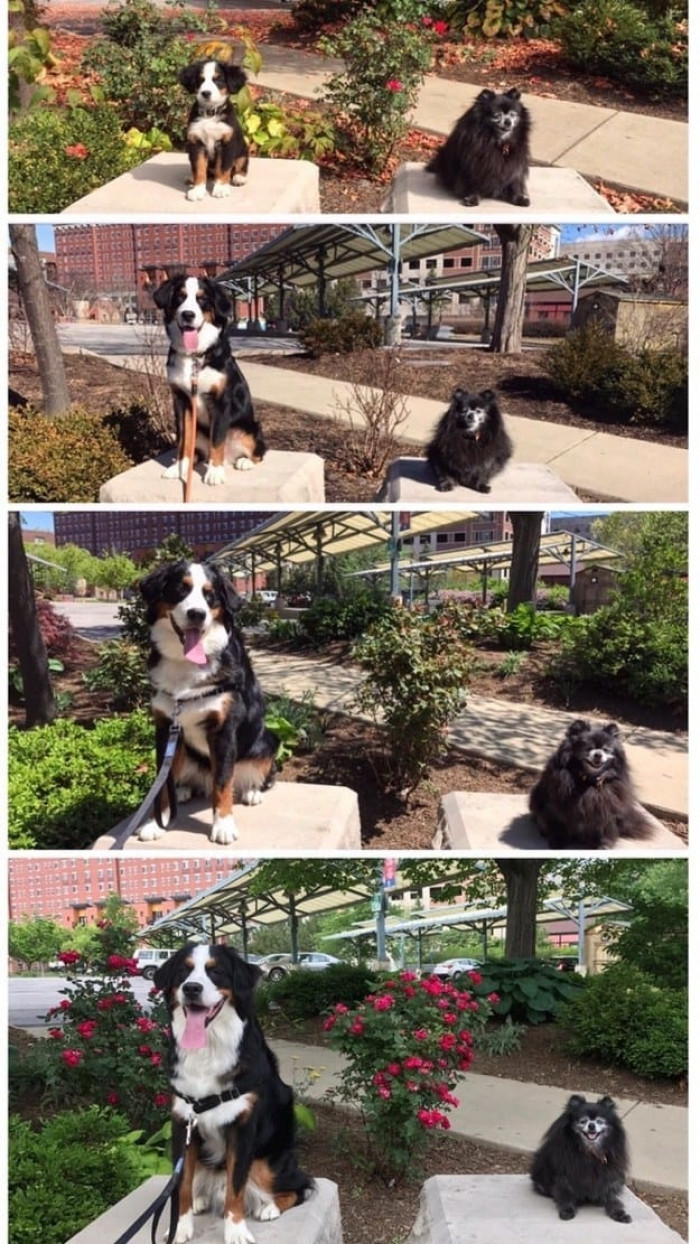 The little guy on the right didn't stand a chance, haha