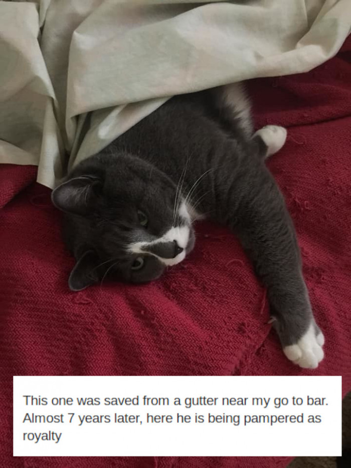 7. Before and after.