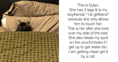 The Exact Moment These Cat Owners Realized Their Cats Were Kind Of Jerks