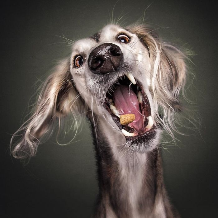 15. Nothing can stop him.