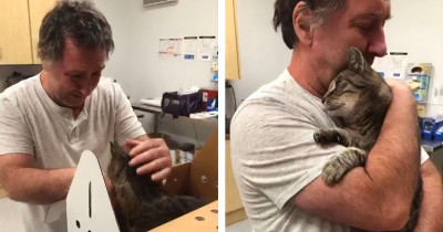 Guy Reunited With 19-Year-Old Cat Who Went Missing Over 7 Years Ago