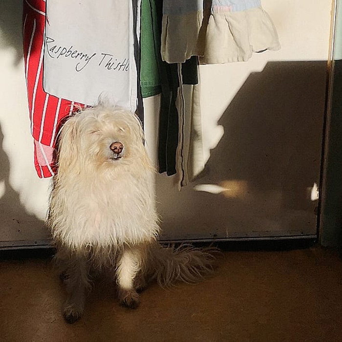 #28 Finding all the sun spots to bask in