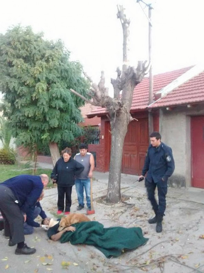 Jesús Hueche fell from a height of six feet while attempting to trim a tree outside his house in Argentina.