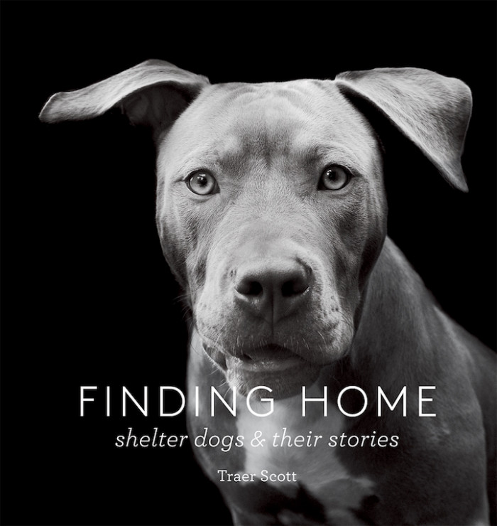 Finding Home: Shelter Dogs and Their Stories by Traer Scott
