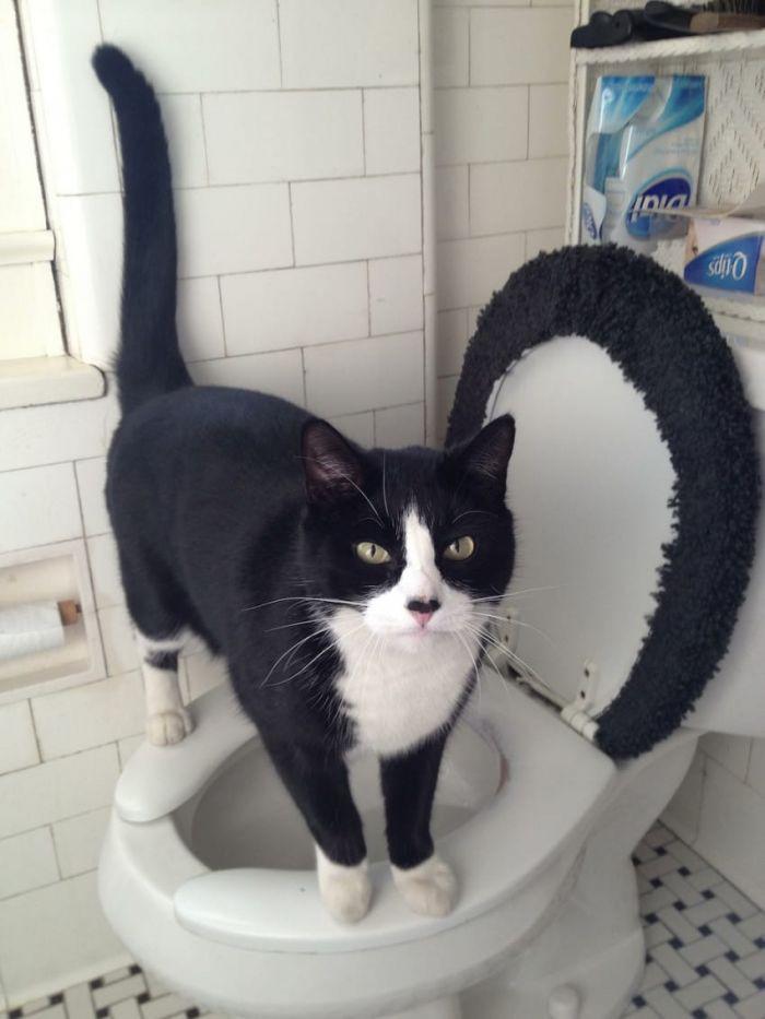 4. “Leave the door open; you don’t need privacy in the toilet.” – Persiandude73