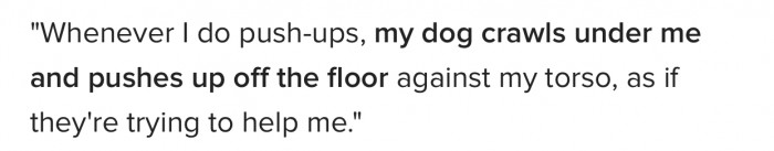 13. Personal trainer dog!