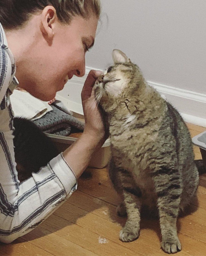 Stray cat emerges from interior space, looking toward rescuers or light